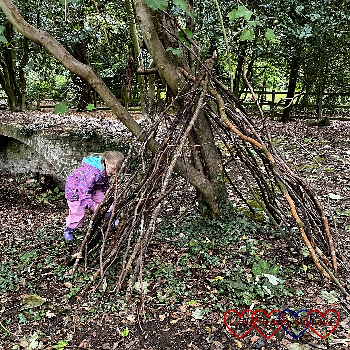 Sophie building a den in the woods