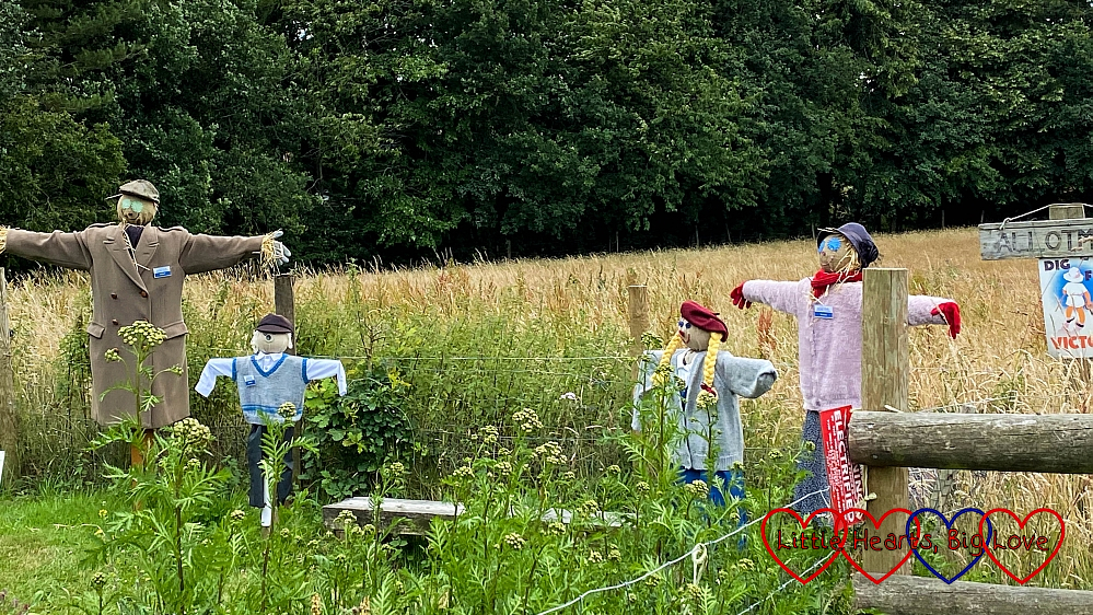 A family of scarecrows on the 'Dig for Victory' allotment at Chiltern Open Air Museum
