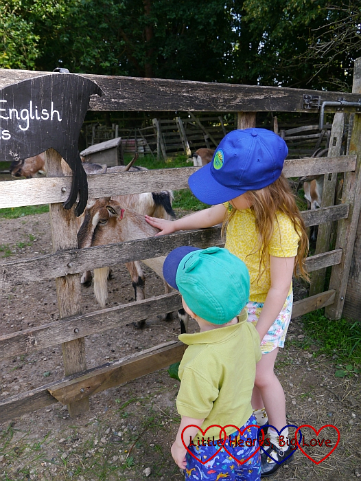 Sophie and Thomas stroking the goats in the farm at Chiltern Open Air Museum