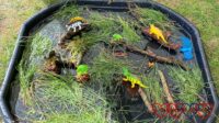 Toy dinosaurs on top of sticks in a tuff tray filled with sticks, bark, long grass, and water