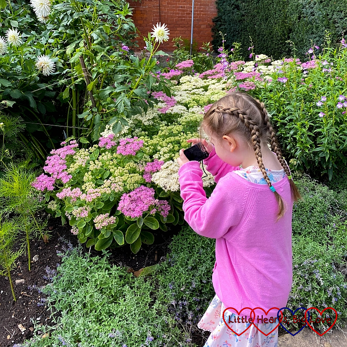 Sophie taking photosof bees on the flowers at Cliveden