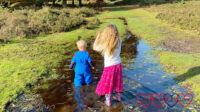 Thomas and Sophie wading through a big puddle in the middle of some heathland