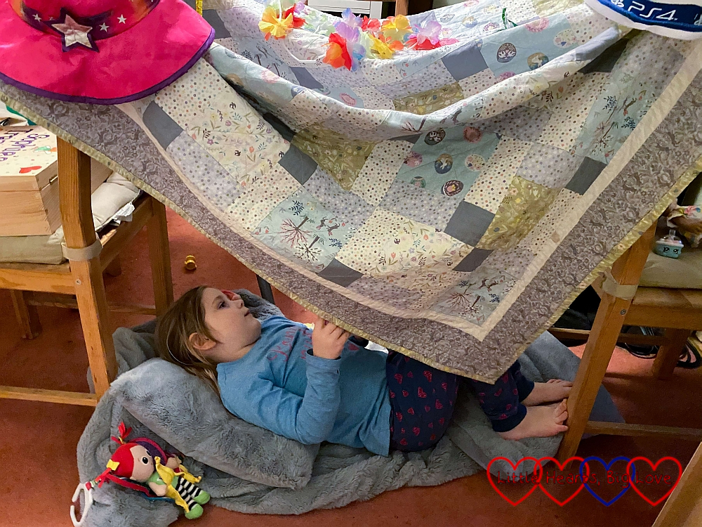 Sophie lying in her den made of a quilt drapped over two chairs