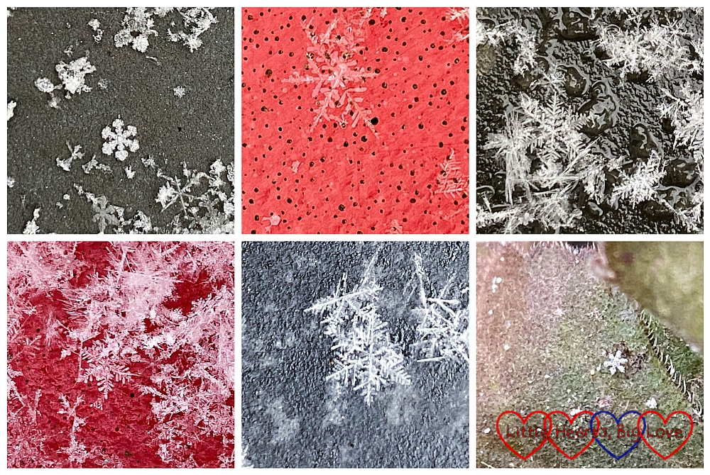 Six pictures showing close up images of snowflakes