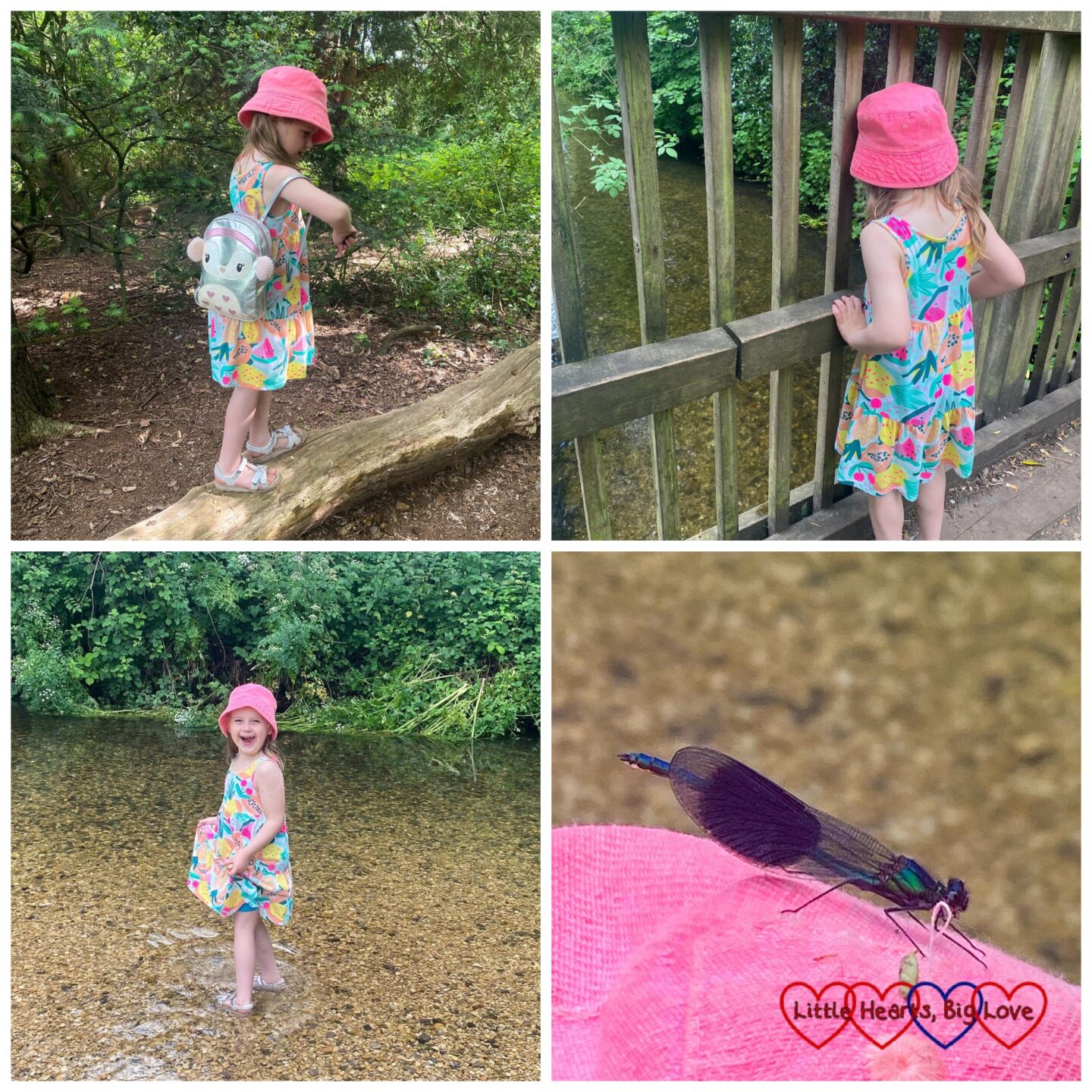 Sophie walking along a fallen log; Sophie playing Poohsticks on the bridge; Sophie paddling in the stream; a banded demoiselle on Sophie's sun hat