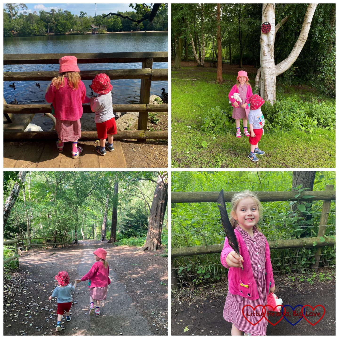 Sophie and Thomas feeding the ducks at Black Park; Sophie and Thomas standing in front of a birch tree with a giant wooden ladybird above them; Sophie and Thomas walking hand-in-hand through the woods; Sophie holding a large black feather