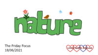 The word nature in green with doodles of a flower, a bird, a dragonfly and a butterfly around it