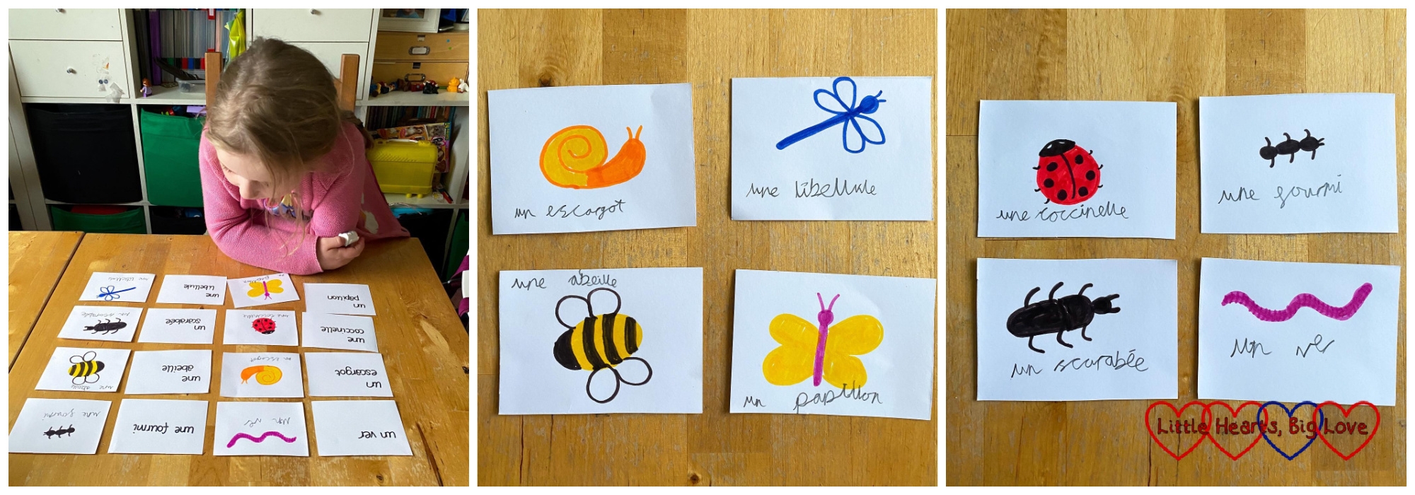 Sophie with her French insect flash cards; flashcards showing a snail (un escargot), a dragonfly (une libellule), a bee (une abeille) and a butterfly (un papillon); flashcards showing a ladybird (une coccinelle), an ant (une fourmi), a beetle (un scarabee) and a worm (un ver)