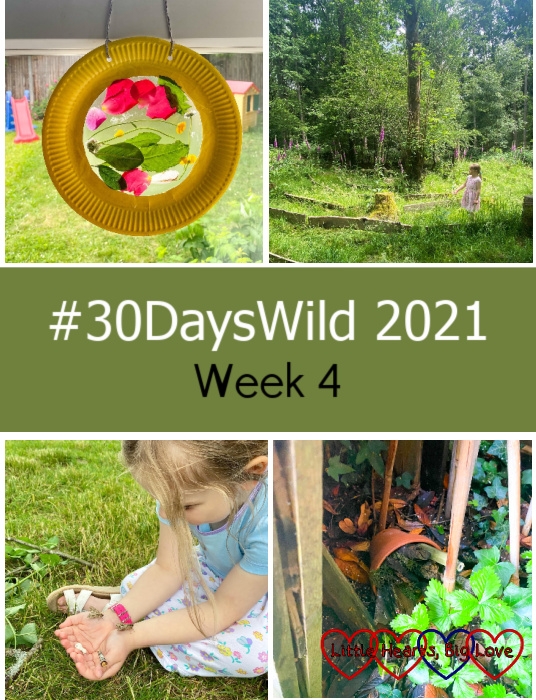 A nature suncatcher hanging in the window; Sophie exploring the labyrinth at GreenAcres; Sophie holding a buff tip moth, a white ermine moth and two dark arches moths; a bug hotel in the garden - "#30DaysWild 2021 - Week 4"