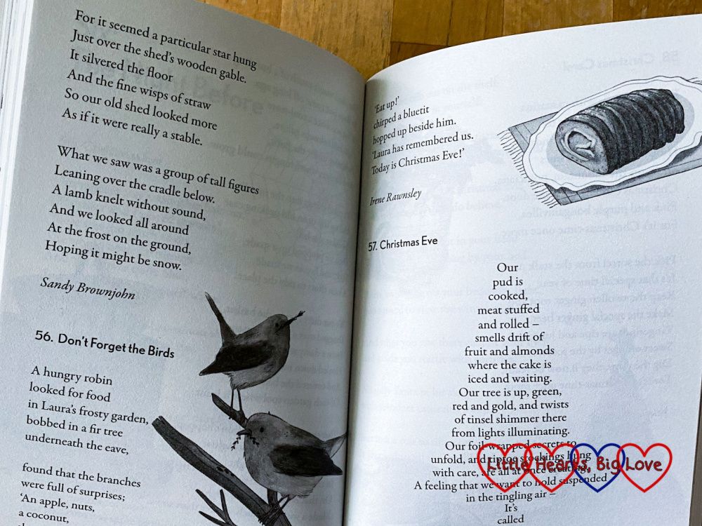A double-page spread from '100 Best Christmas Poems for Children' showing a poem called 'Don't Forget the Birds' and a shape poem called 'Christmas Eve'