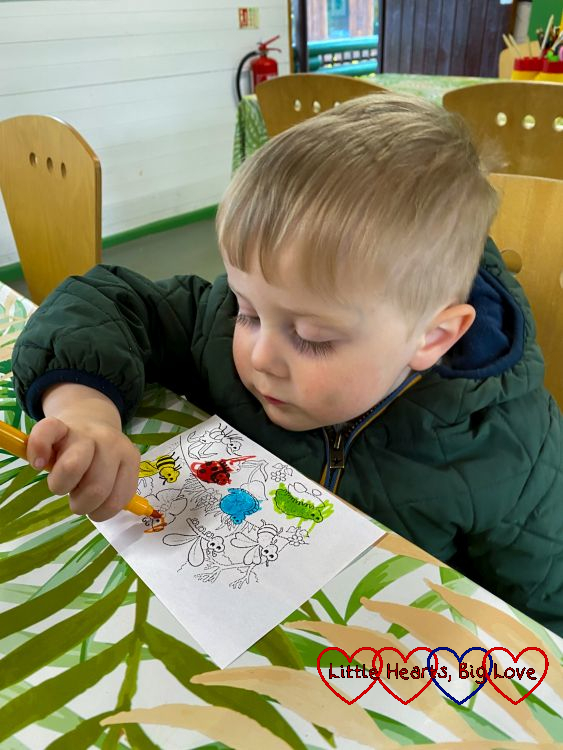 Thomas colouring in pictures of insects