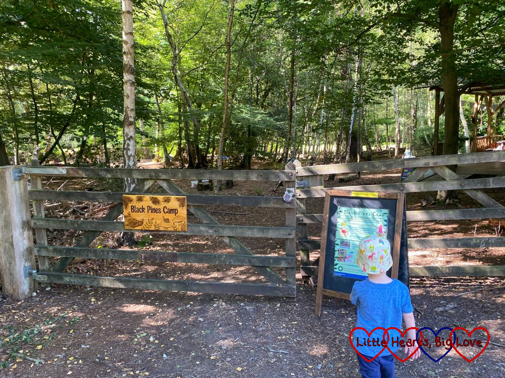Thomas standing in front of the gate to Black Pines Camp
