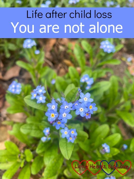 Forget-me-nots. "Life after child loss - you are not alone"