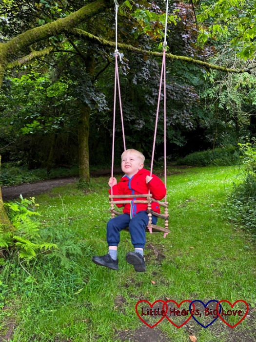Thomas swinging on a tree swing