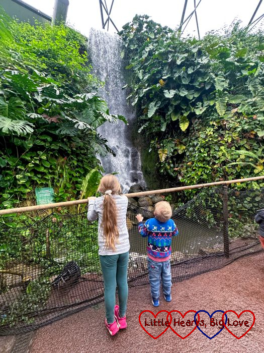 Sophie and Thomas looking at a waterfall at the Eden Project