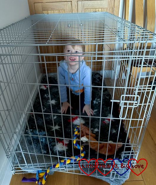 Thomas inside a puppy cage
