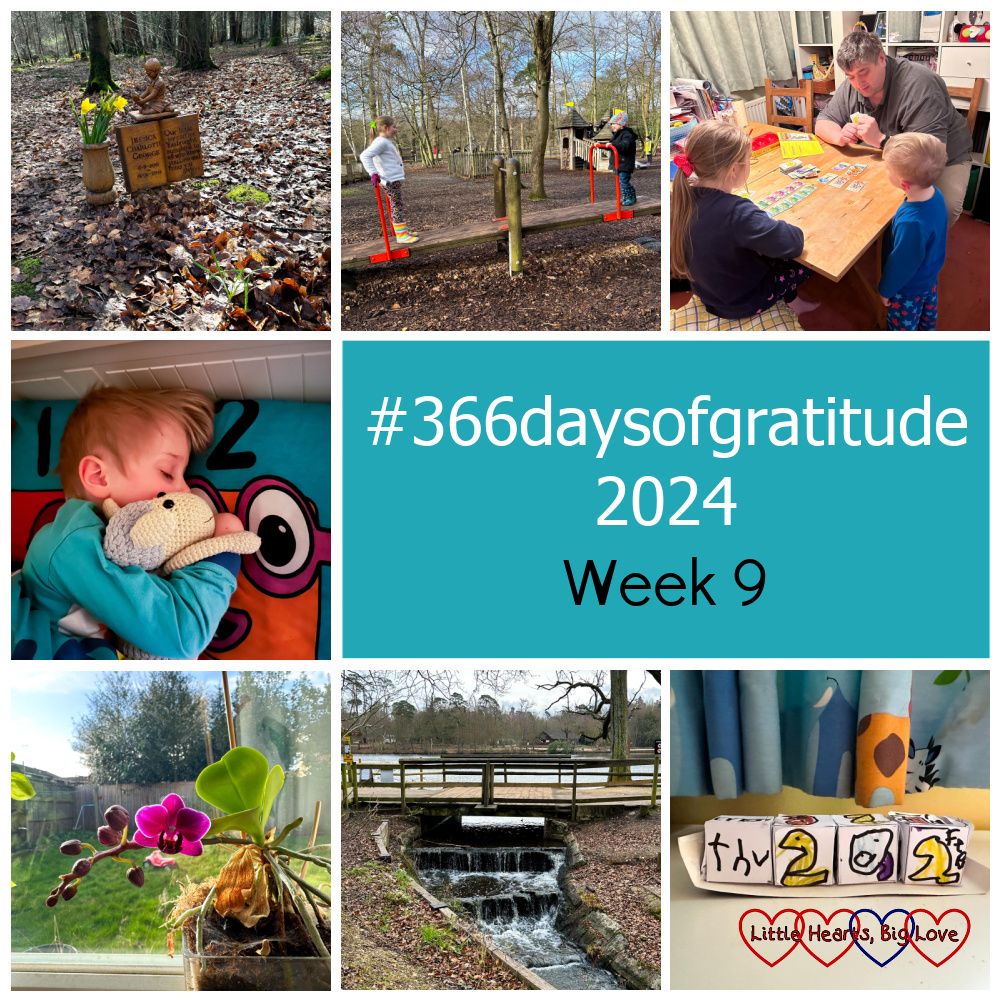 Daffodils at Jessica's forever bed; Sophie and Thomas on a seesaw at the park; Thomas watching Sophie and Daddy playing a card game; Thomas asleep snuggled up to his Sheepie; a purple orchid on my windowsill; a small weir at Black Park; Thomas's cube calendar showing 29 Feb - "#366daysofgratitude week 9"
