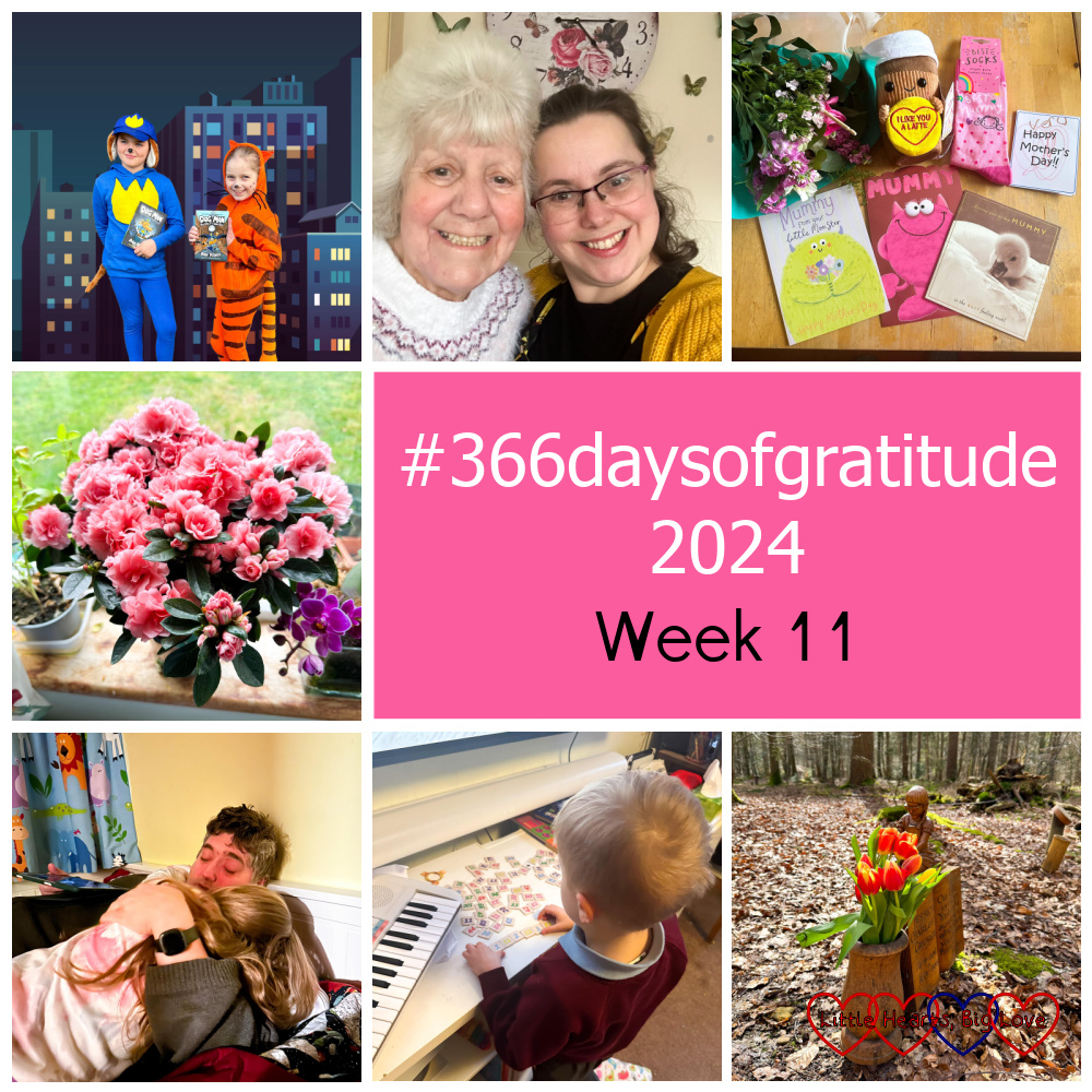 Sophie and her friend dressed as Dogman and L'il Petey; me and my mum; cards and gifts for Mothers' Day; pink flowers on a windowsill; Sophie having a cuddle with Daddy; Thomas playing with his number tiles; orange and yellow tulips at Jessica's forever bed - "#366daysofgratitude 2024 - Week 11"