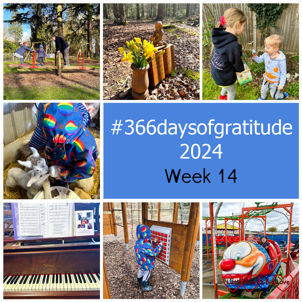 My husband on a seesaw with Sophie and Thomas; daffodils in the wooden vase at Jessica's forever bed; Sophie and Thomas doing an Easter egg hunt in the garden; Thomas bottle feeding a lamb; the piano at church; Thomas at the park; Sophie and Thomas on a rollercoaster - "#366daysofgratitude 2024 - Week 14"