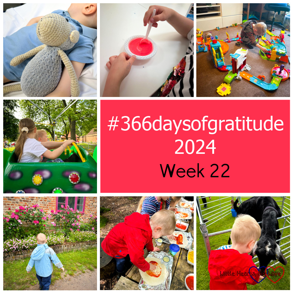 Thomas's toy sheep next to him on a hospital bed; Sophie making slime; Thomas playing with Toot-Toot Drivers tracks, vehicles and buildings; Sophie and Thomas on a kids' rollercoaster ride; Thomas in front of a brick cottage with pink roses growing in front; Thomas and Sophie making pizza wraps; Thomas feeding a goat - "#366daysofgratitude 2024 - Week 22"
