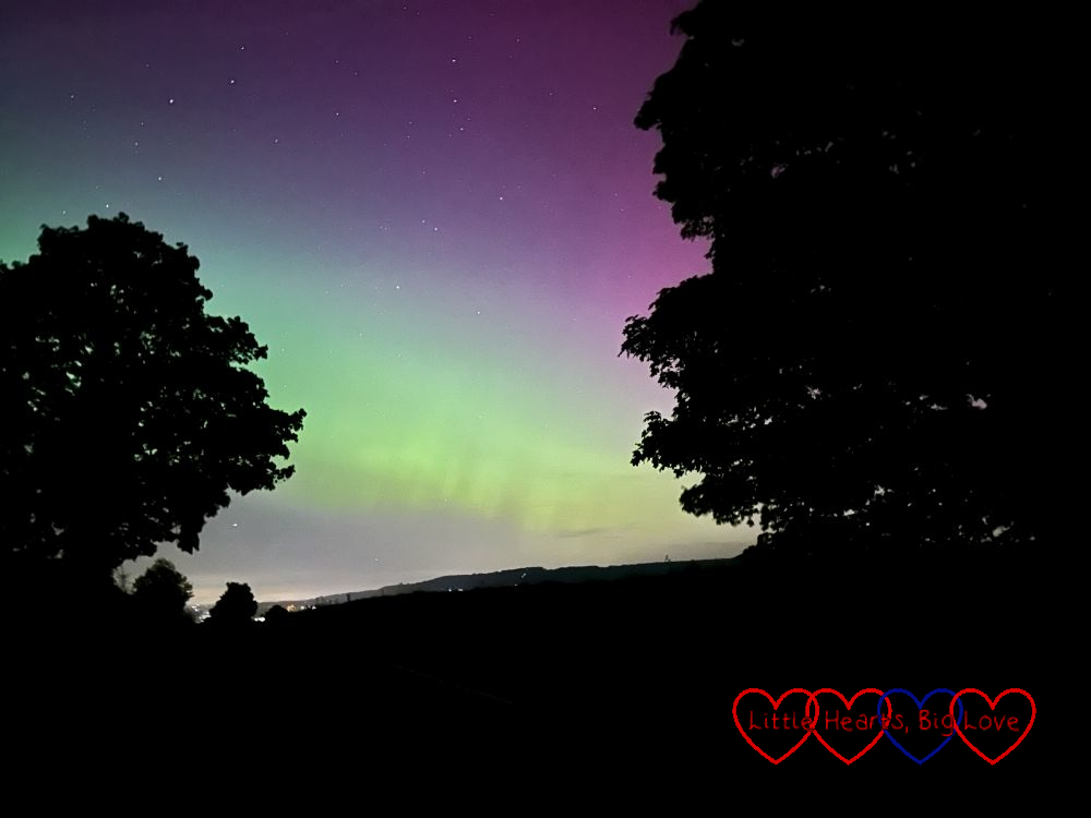 Purple and green aurora borealis in a starry night sky with silhouetted trees on either side of the picture