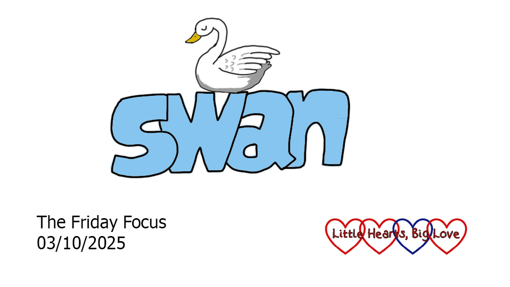 The word 'swan' in blue bubble writing with a doodle of a swan on top